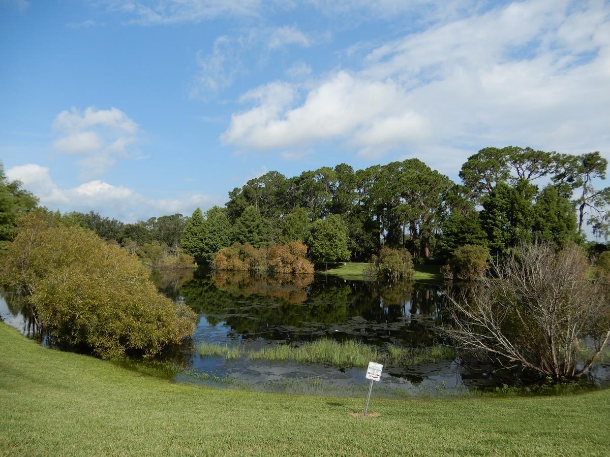 Bahama Bay Villa Kissimmee Bagian luar foto